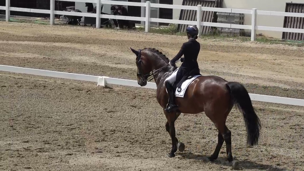 114學年度全國中等學校馬術錦標賽(馬場馬術) 高中組 Senior II Ashleen Huang