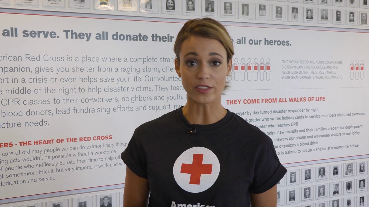 Red Cross  First Aid App