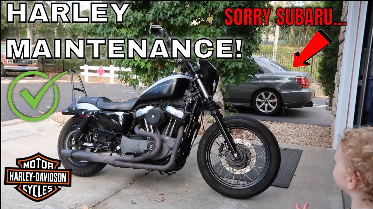 Harley Maintenance 2022! Changed: Oil, Primary and Spark Plugs (2007 Sportster 1200)