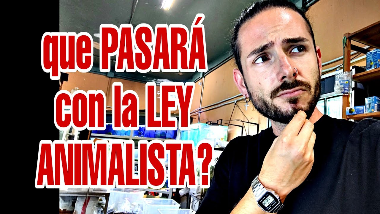 PREGUNTAS BICHERAS que me HACEIS y RESPONDO sobre las LEY ANIMALISTA.
