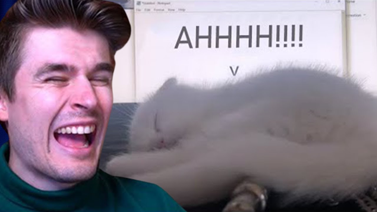 Don't Wake Up The Cat !!