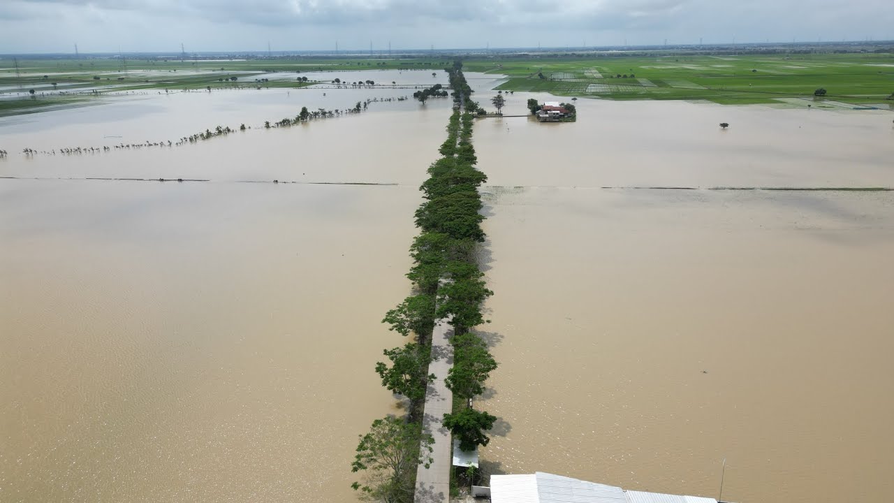 Banjir Indramayu 2026 (View Drone) 
