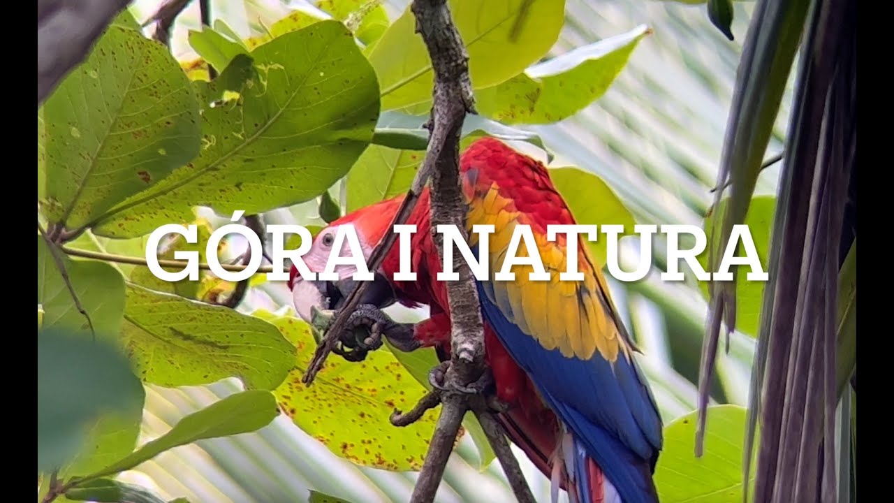 Ep29  - Kostaryka - Góra i Natura
