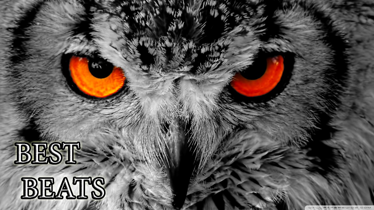 Epic Hard Dark Psychedelic Rap Beat Hip Hop Instrumental 2016