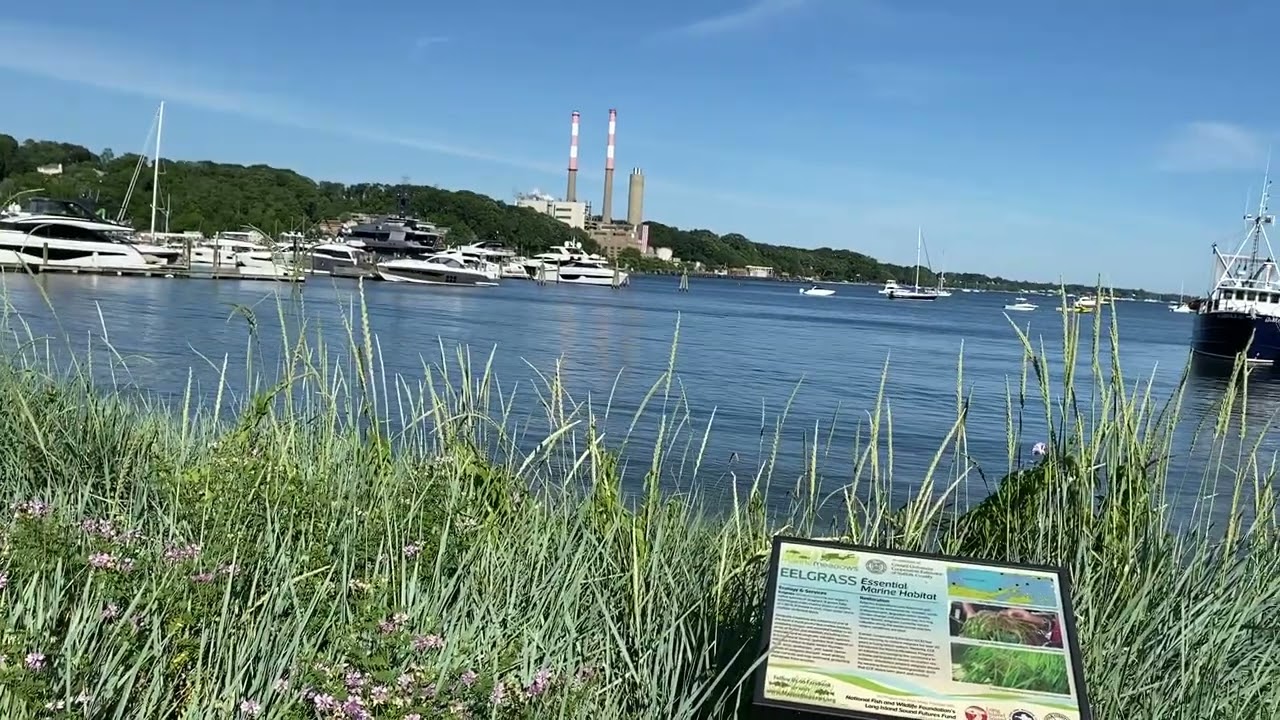 Port Jeff June 2024 v2