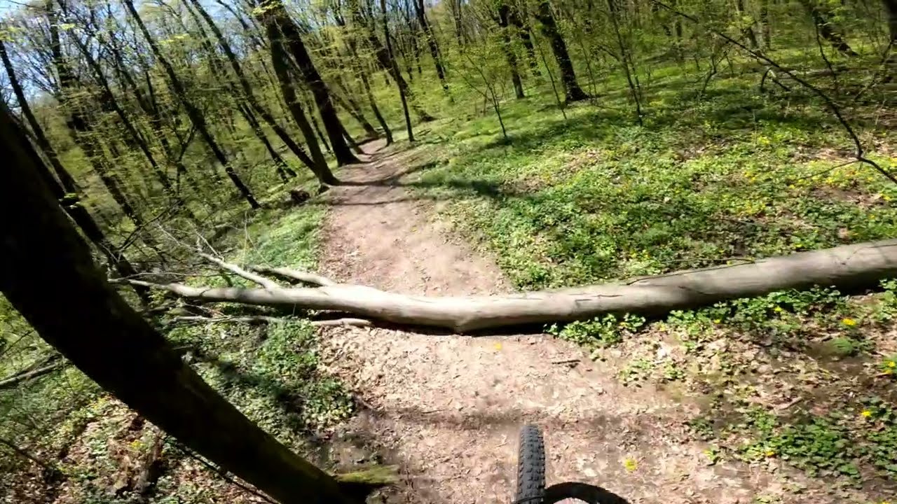 На разведку в лес / Ride on woods, my local trail, orbea wildfs M20