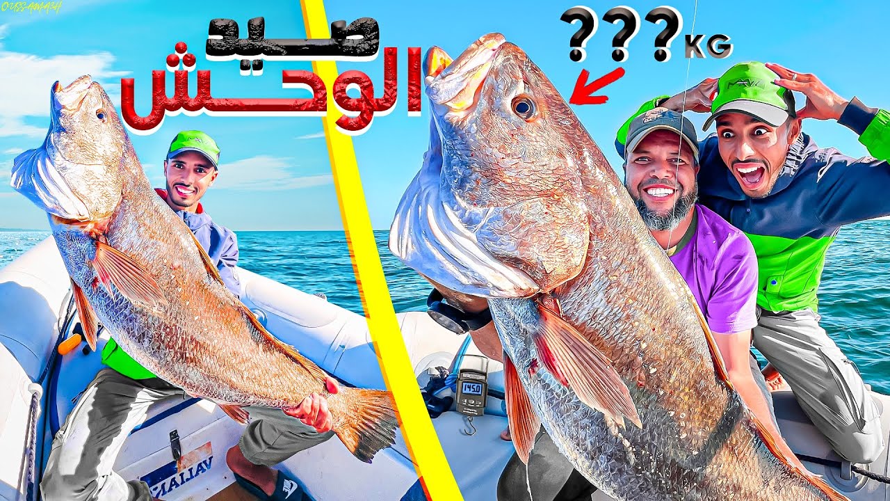 حياة البحار:يوم كامل في أعماق البحر تحدي صيد أضخم😱الأسماك في البحر 🌊🔥