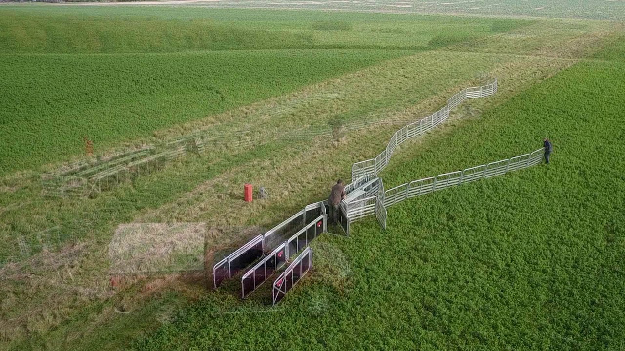 A Farmers Thoughts on the Rappa Series 12 Mobile Yard | Rappa