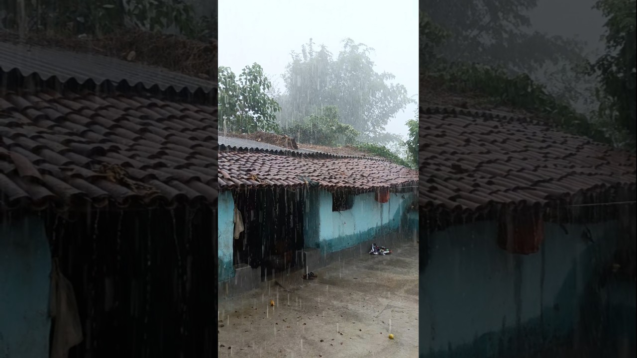 Chhattisgarh bihar jharkhand monsoon weather update #shorts #short
