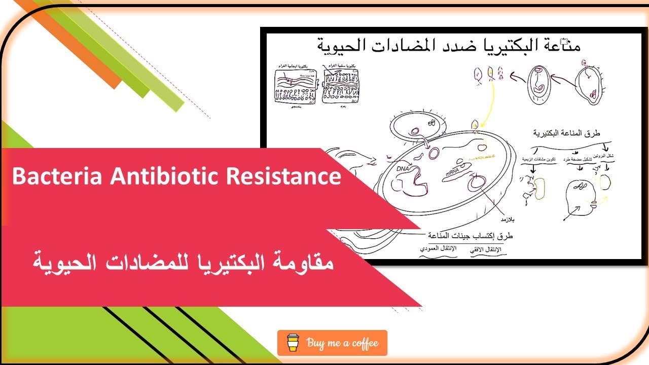 طرق مقاومة البكتيريا للمضادات الحيوية.