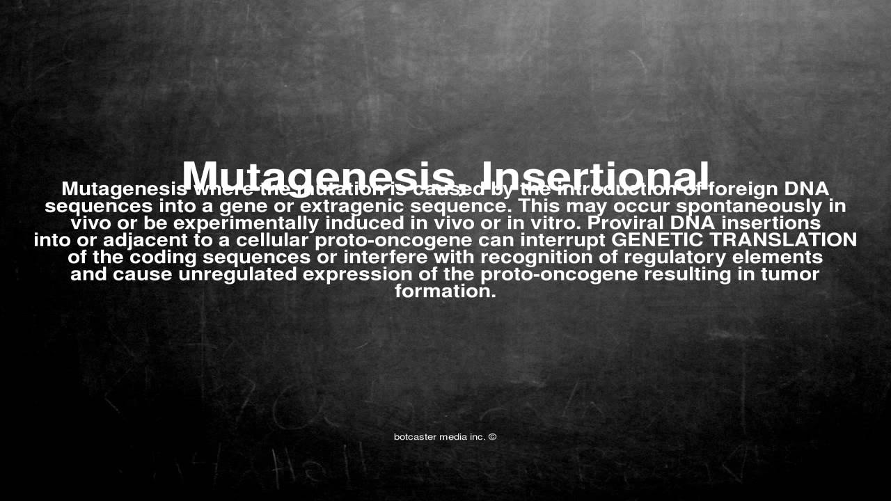 Medical vocabulary: What does Mutagenesis, Insertional mean
