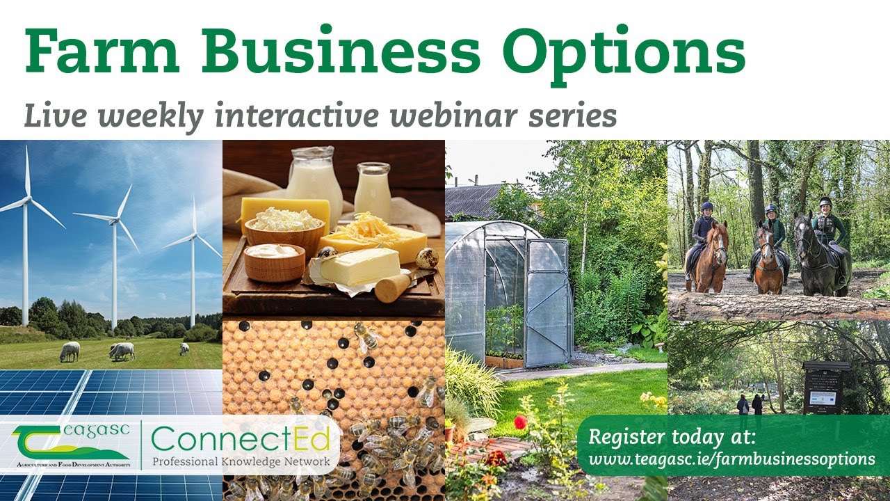 Farm Business Options - Insects Spark interest in Research and Farming Projects