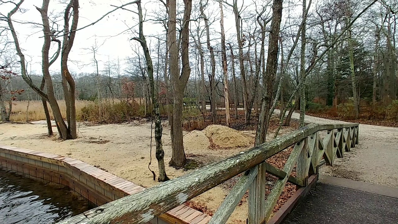 Bayard Cutting Arboretum