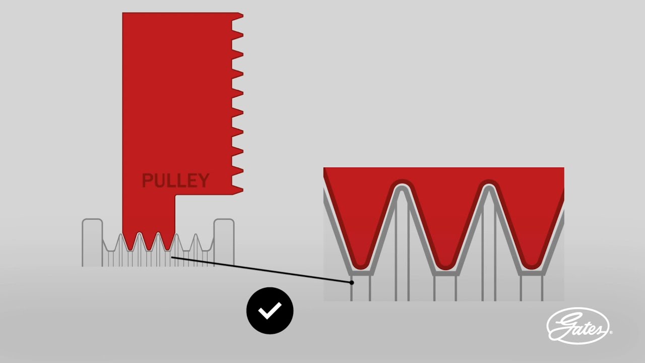 How to Monitor Belt Health with the Gates Accessory Belt Drive System Wear Indicator