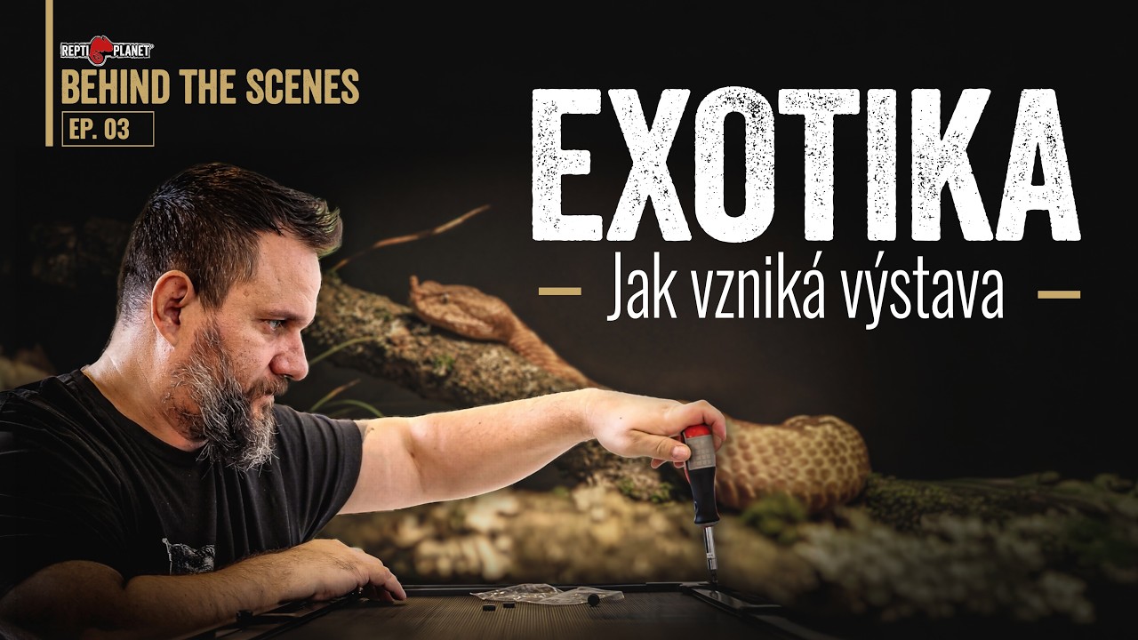 REPTI PLANET - JAK SE PŘIPRAVUJE VÝSTAVA