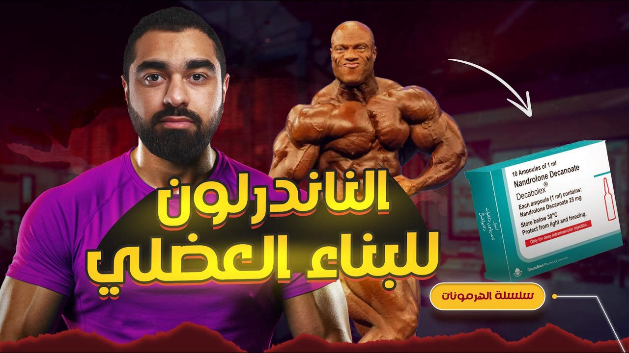 الديكا والمراحل المتقدمة لبناء العضلات - كل شيء عن الناندرلون للمبتدئين (دورة هرمونات - 16)