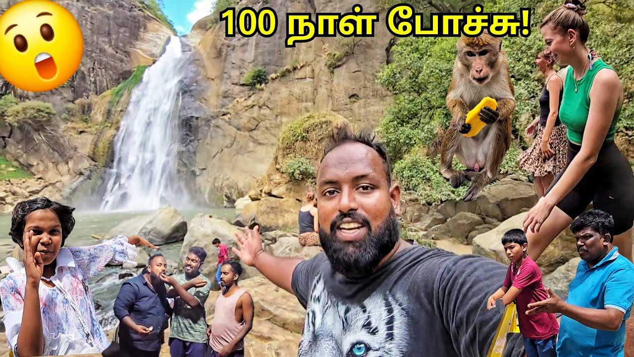 சற்றும் எதிர்பாராத 100 நாள் கொண்டாட்டம்!🥳 கயன் பிறந்தநாளுடன் Van Life | Alasteen Rock | Day 100