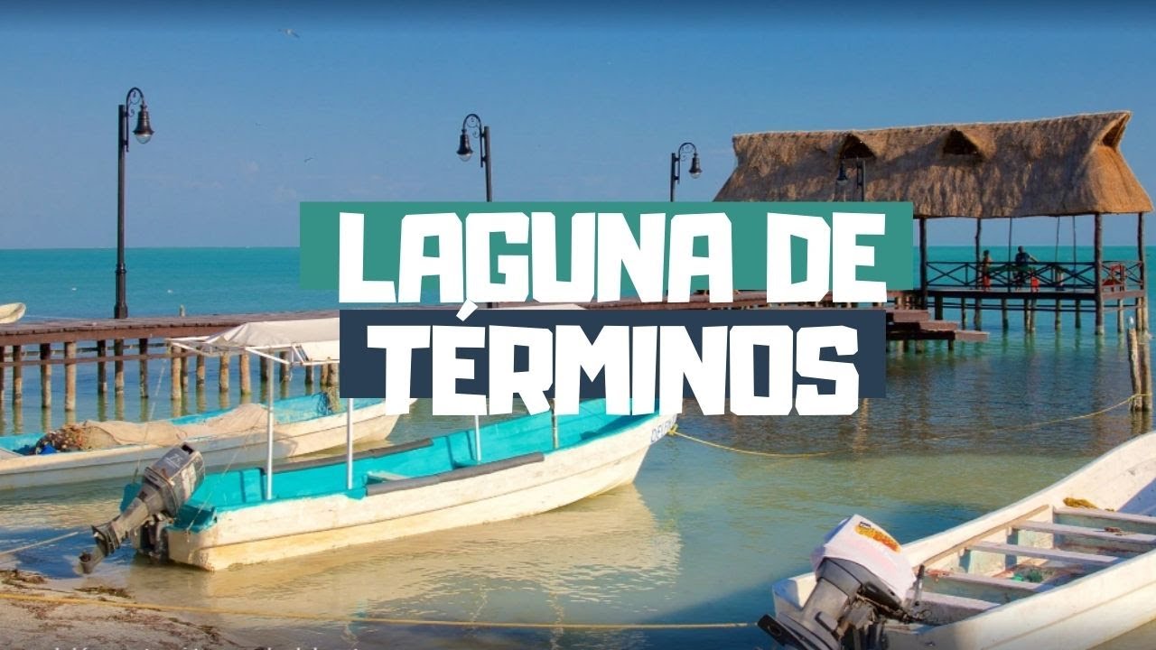 Laguna de Términos y su isla de pájaros