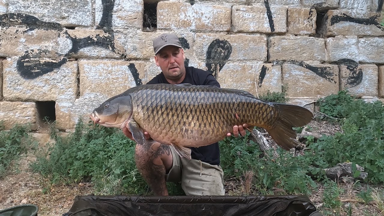 Carp mission on the ebro