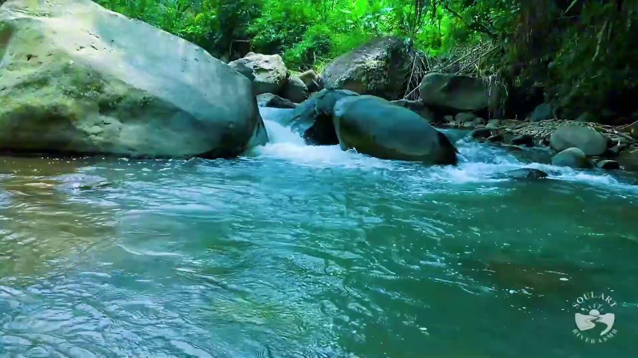 River Sounds for Sleeping Better Peaceful Flowing Water Ambience