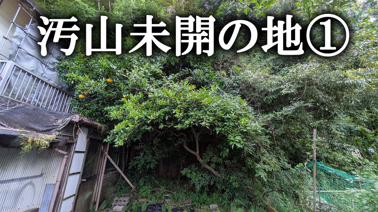 【片付け】未だに手付かずだった汚山未開の地を開拓していきます。暗くどんよりした怖い場所へ｜汚部屋｜ズボラ主婦｜空き家｜庭仕事｜荒地開拓