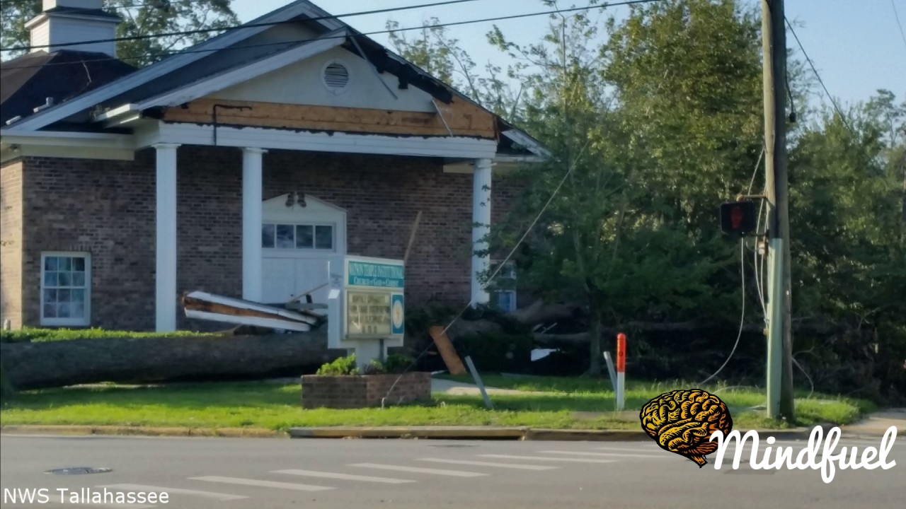 Hurricane Hermine Documentary