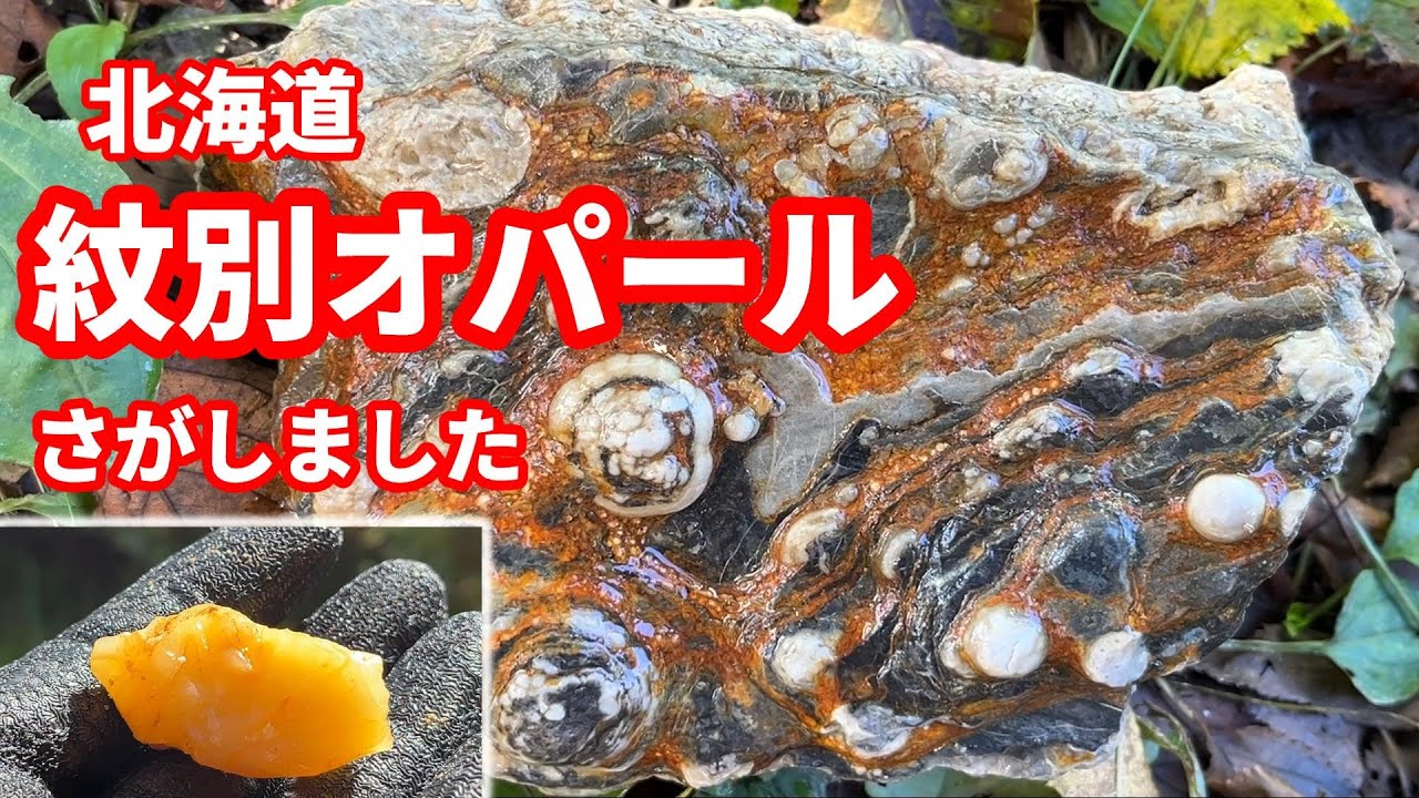 北海道！紋別オパールを探しました