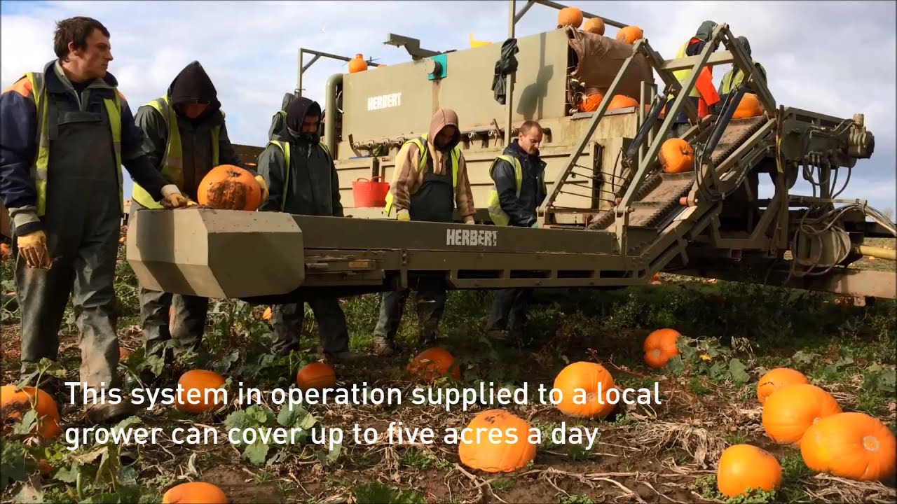 Herbert Engineering - Pumpkin Harvester and Washer