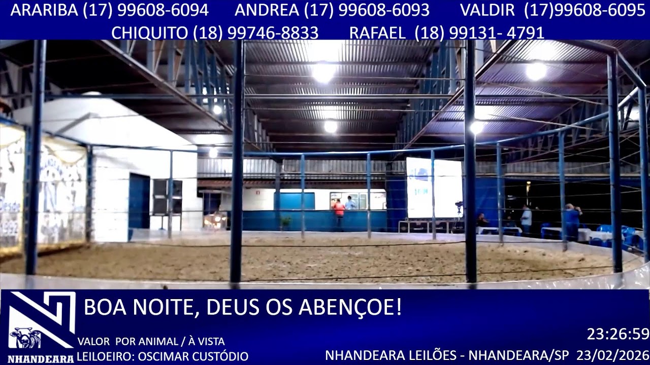 LEILÃO NHANDEARA LEILÕES - 23/02/2026 -NHANDEARA/SP -AOVIVOGADO@BOI2026