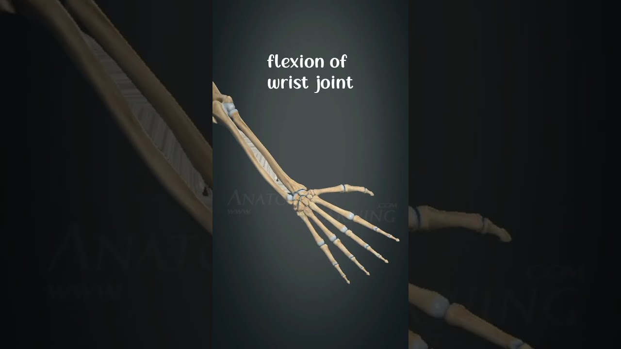 extension and flexion of wrist joint #drsamia #physiorehab#physiotherapy