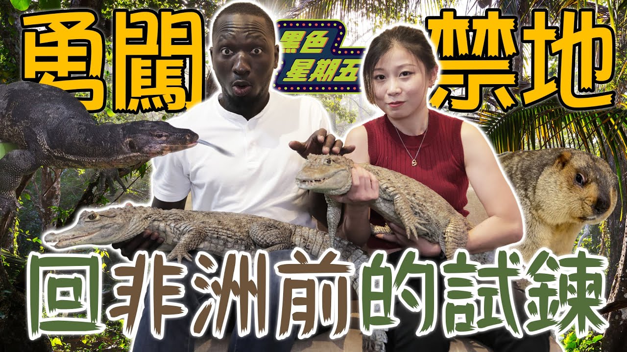 回非洲前的試鍊「黑龍勇闖秘密禁地實測膽量」挑戰徒手餵鱷魚右手女友差點就不見？！【黑色星期五】#83