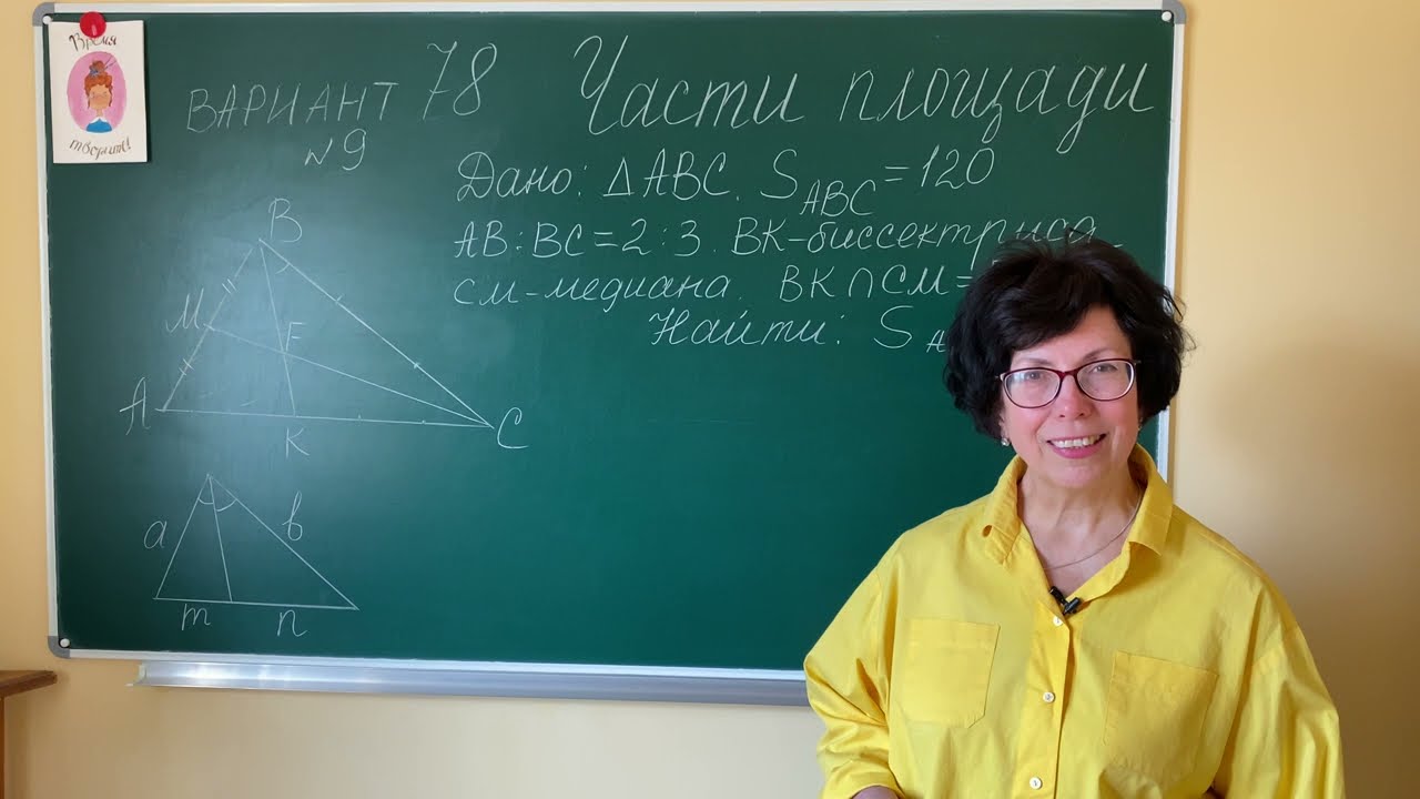 Части площади на экзамене по математике в 9 классе. Решаем вариант 78 №9 из сборника заданий