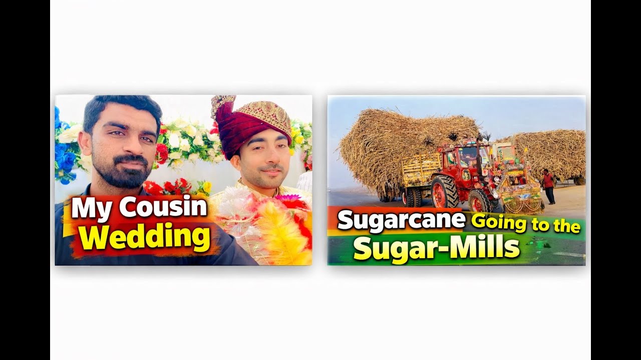Cousin Wedding//Sugarcane Trally Going to the Tandlianwala Sugar Mills  Rehman Hajira-Muzaffargarh