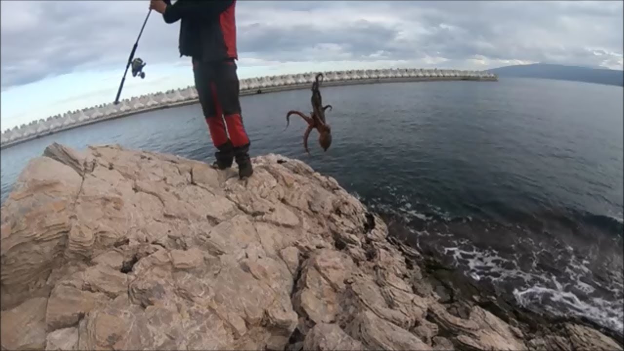 χταπόδια και σουπιές ψάρεμα από βράχια με την τεχνική tako egi
