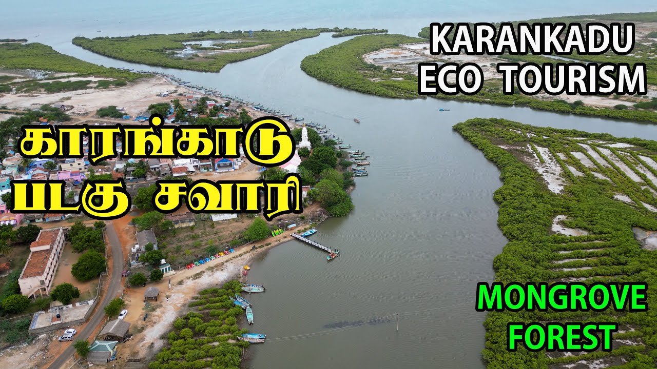 காரங்காடு படகு சவாரி நடுக்கடலில் இறங்கி பார்க்கலாம் Karankadu Mangrove Forest Boating Tamil