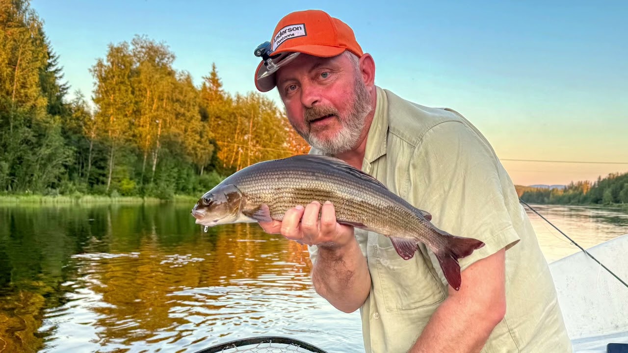 Stemninger og fisk