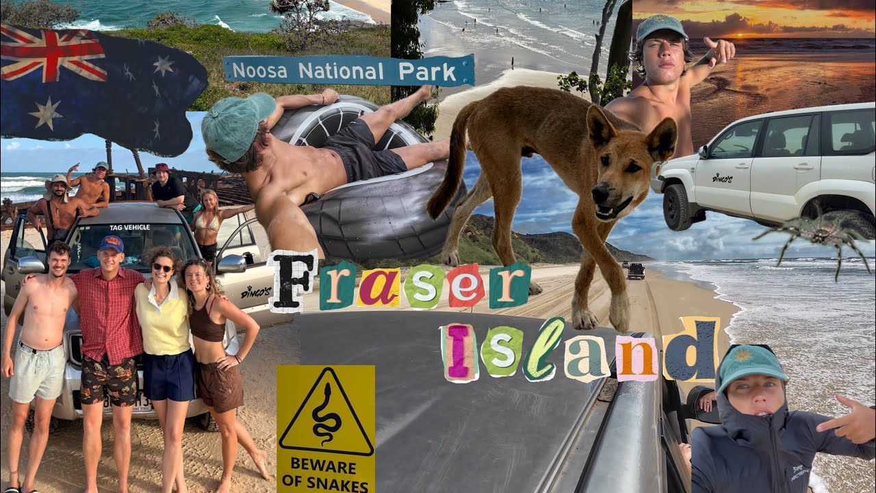 Noosa & 3 Days Fraser Island🐕🏝️🌊/ Australien🇦🇺 #6