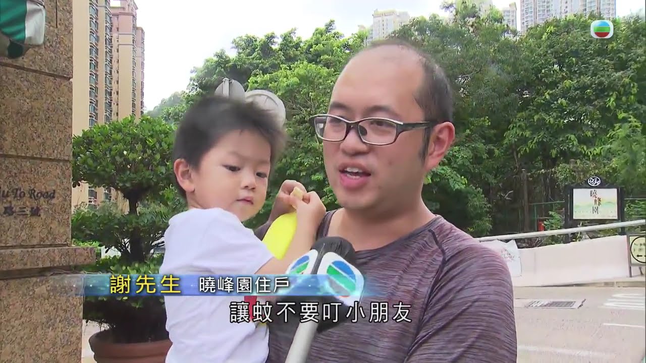香港無綫｜7:30一小時新聞｜2025年8月7日｜