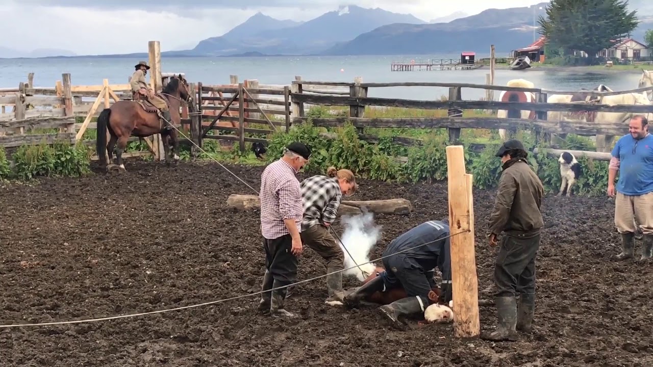 Puerto Natales Estancia Mercedes Patagonia