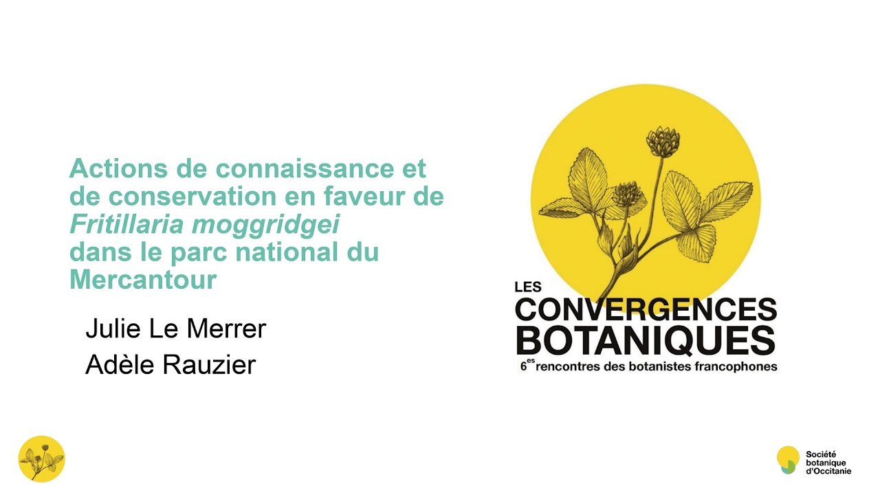 Julie Le Merrer Adèle Rauzier - Les 6es Convergences botaniques
