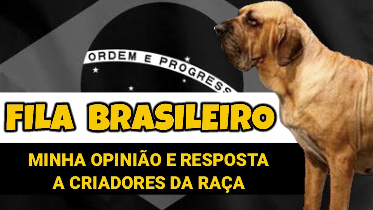 FILA BRASILEIRO E A 