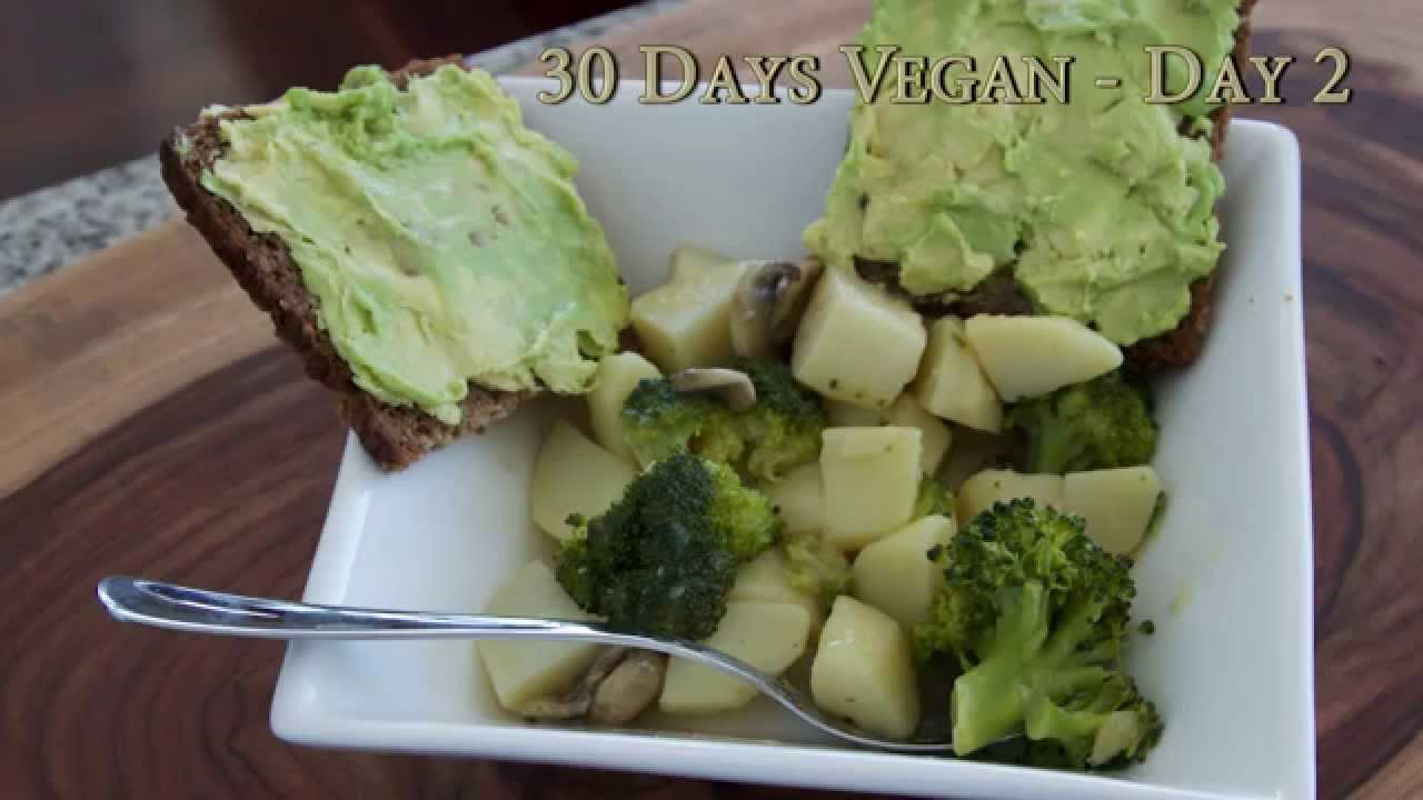 What I Eat In A Day as a Vegan: DAY 2