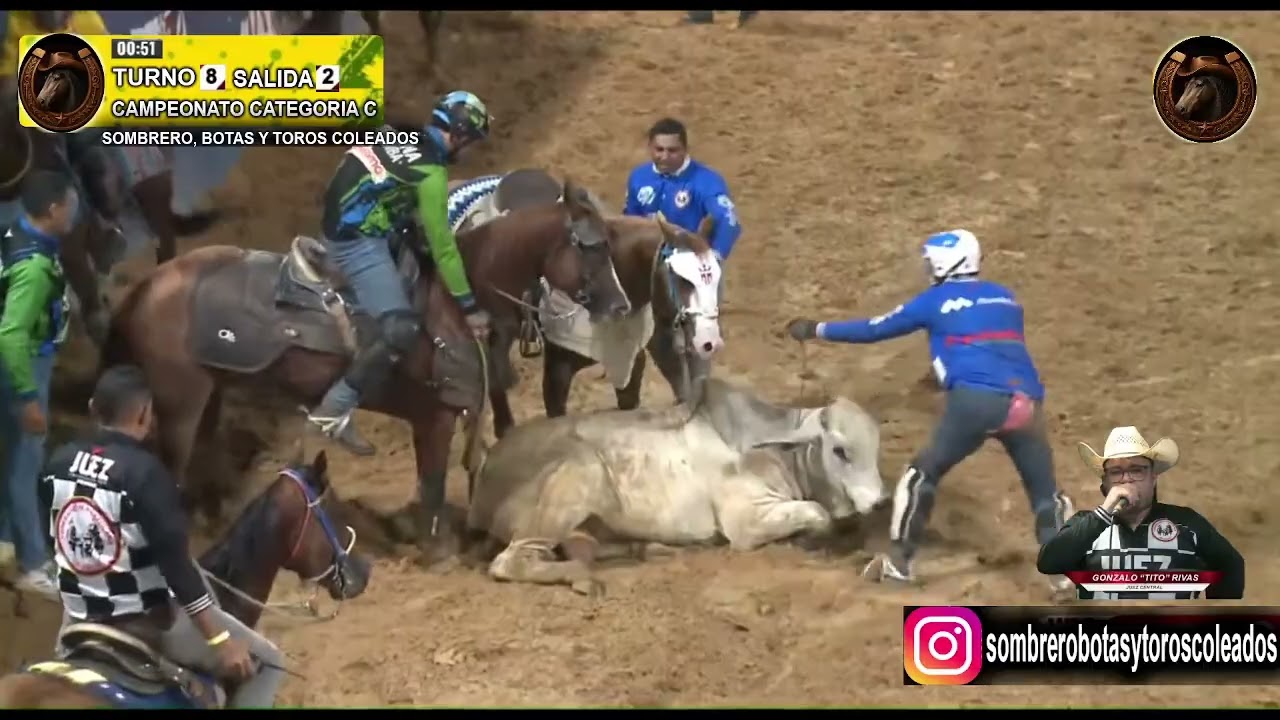 TURNOS 7-8-9 RONDA FINAL CAMPEONATO NACIONAL CATEGORIA C 2025 07/12/2025
