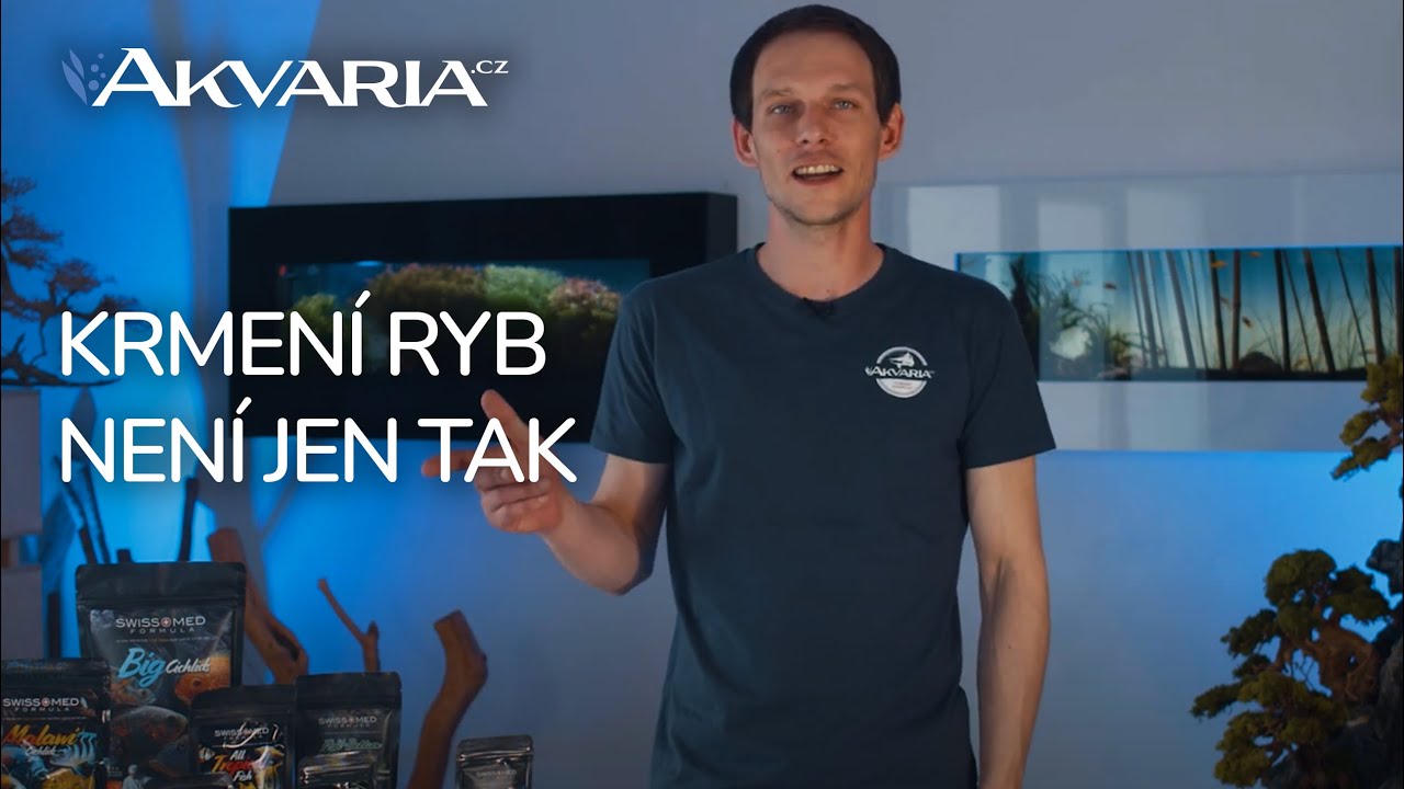 Krmení ryb není jen tak