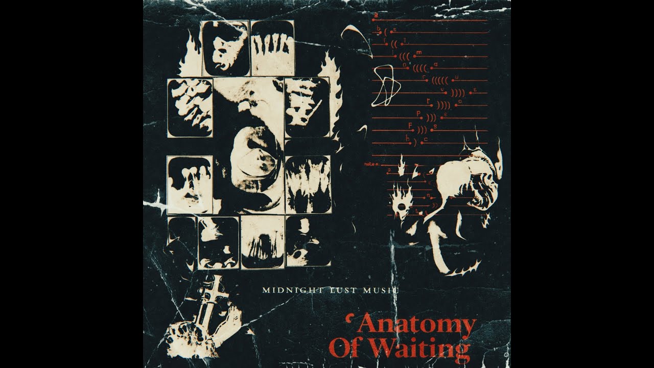 Late Night Trip Hop // Hypnotic // Anatomy of Waiting