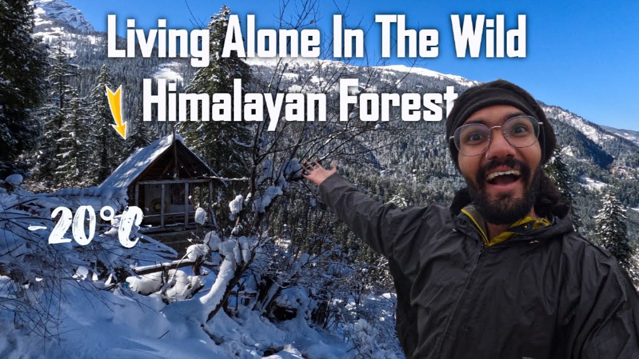 Living Alone in the Wild Himalayan Forest for 40 days (-20°C)