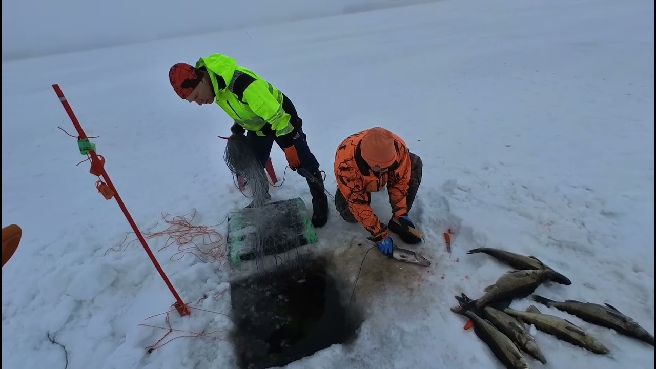 Talviverkoilla Längelmävedellä 19 1 2026