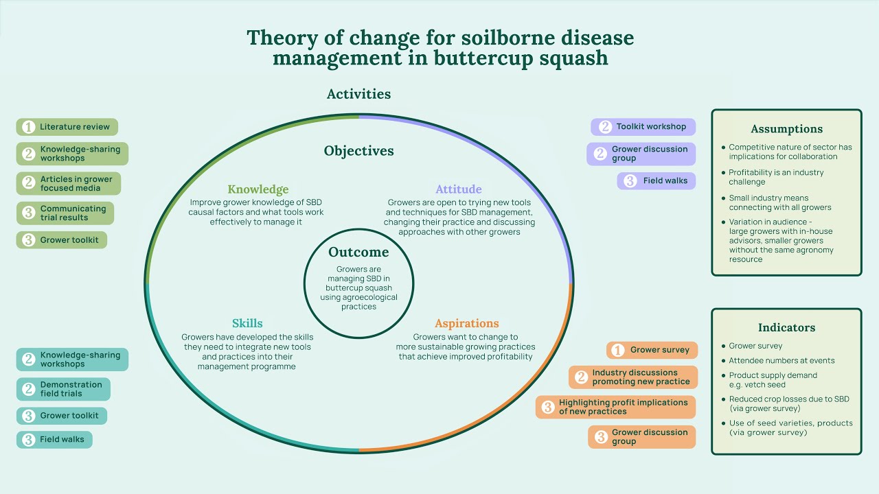 Extension resource: Developing a Theory of Change
