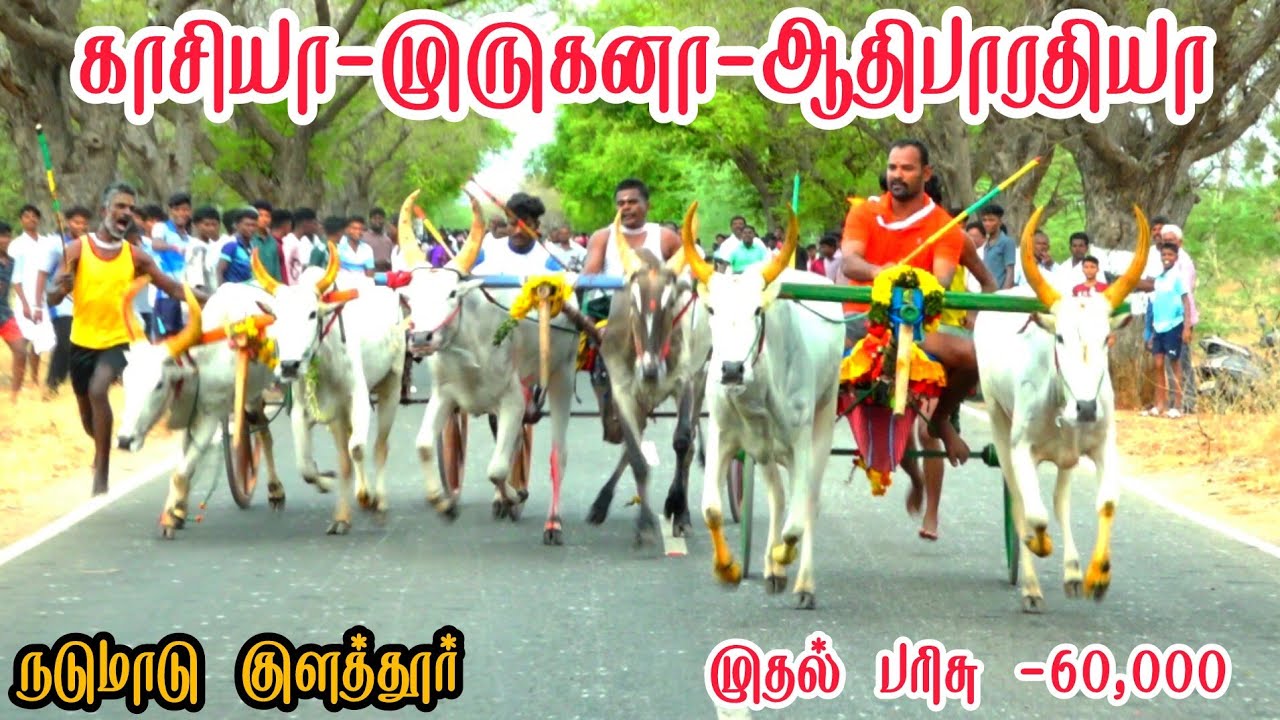 54 தூத்துக்குடி மாவட்டம் குளத்தூர் பந்தயம்