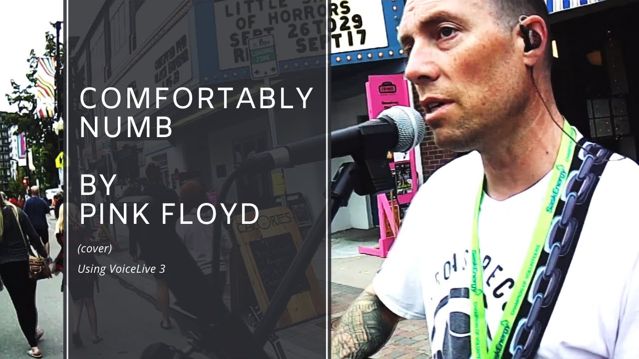 Comfortably Numb by Pink Floyd (Looping Cover) - Using VoiceLive3 Extreme